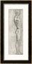 Anatomical Study by Leonardo Da Vinci Limited Edition Pricing Art Print