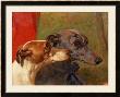 The Greyhounds Charley And Jimmy In An Interior by John Frederick Herring I Limited Edition Print