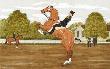 Des Chevaux Et Des Hommes : Le Cadre Noir A Saumur by Vincent Haddelsey Limited Edition Pricing Art Print