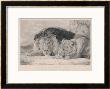 F. Lewis Pricing Limited Edition Prints