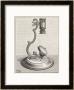 Baker's Mounted Lens Microscope by Poyet Limited Edition Print
