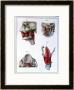 Anatomy Of The Throat And Jaw, From Manuel D'anatomie Descriptive Du Corps Humain by Feillet Limited Edition Print