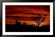 Australian Sunset by Robert Ginn Limited Edition Print