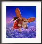 Basset Hound In Space by Jim Mcguire Limited Edition Print