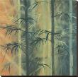 Bamboo Groove Ii by Kate Ruff Limited Edition Print