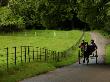 Ireland, Muckross House, Killarney- Horse And Car by Keith Levit Limited Edition Print