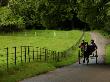 Ireland, Muckross House, Killarney- Horse And Car by Keith Levit Limited Edition Print