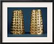 Ecuador: Gold Cuffs by Pierre-Joseph Redoute Limited Edition Print
