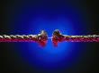 Rope Ends On Blue Background by Len Delessio Limited Edition Print