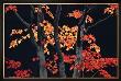 Autumn Sonata by Allan Bruce Zee Limited Edition Pricing Art Print