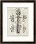 Brain And Spinal Column by A. Bell Limited Edition Print