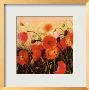 Poppy Party by Shirley Novak Limited Edition Pricing Art Print