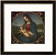 Madonna And Child (Conestabile Madonna) by Raphael Limited Edition Print