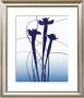 Blue Iris by Nina Farrell Limited Edition Print