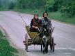 Women Travelling On Donkey And Cart, Veliko Tarnovo, Bulgaria by Chris Mellor Limited Edition Print