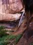 Lower Calf Creek Falls, Grand Staircase-Escalante National Monument, U.S.A. by Curtis Martin Limited Edition Print