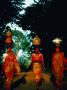 Tharu Women From The Terai, Lumbini, Nepal by Bill Wassman Limited Edition Print