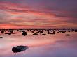 Boulders And Reflections In The Sea At Sunrise, Saltwick Bay, Yorkshire, England, United Kingdom, E by Lizzie Shepherd Limited Edition Print