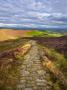 Clouds Gather Above The Cleveland Way And The Heather-Clad Little Bonny Cliff, North Yorkshire Moor by Lizzie Shepherd Limited Edition Print