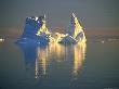 Iceberg Illuminated By The Late Evening Sun, Murchison Sound, Greenland by Nicholas Reuss Limited Edition Print