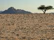 Gravel Plains Of Namib Desert, Namibia by Michael Fogden Limited Edition Print