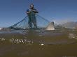 Fisherman With Copper Shark, Caught In Beach Seine Net, South Africa, Atlantic Ocean by Chris And Monique Fallows Limited Edition Print