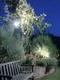 Garden Lighting At Night Trees Shrubs And Raised Bed With Wooden Bench by Bob Challinor Limited Edition Pricing Art Print