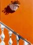 Orange Wall, Malay Quarters, Cape Town by Susanne Friedrich Limited Edition Print