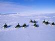 Emperor Penguins, Group On Sea Ice, Antarctica by David Tipling Limited Edition Print