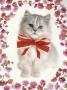 White Cat With Red Bow Surrounded By Flowers by Richard Stacks Limited Edition Print