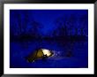 Camping In Minus 40 Degrees Celsius by Johnny Haglund Limited Edition Pricing Art Print