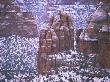 Organpipes Formation In Snow, Colorado National Monument, Colorado, Usa by Robert Kurtzman Limited Edition Print