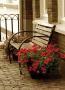 Flower Bench by Steven Mitchell Limited Edition Print
