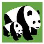 Green Panda by Avalisa Limited Edition Print