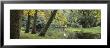 Trees Near A Pond In A Park, Vondelpark, Amsterdam, Netherlands by Panoramic Images Limited Edition Pricing Art Print