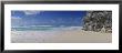 Rock Formation On The Coast, Cancun, Quintana Roo, Mexico by Panoramic Images Limited Edition Print