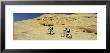 Two Men Mountain Bilking On Rocks, Slickrock Trail, Moab, Utah, Usa by Panoramic Images Limited Edition Print