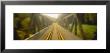 Railroad Tracks Passing Through A Bridge, Germany by Panoramic Images Limited Edition Print