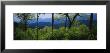 Great Smoky Mountains National Park, Tennessee, Usa by Panoramic Images Limited Edition Pricing Art Print