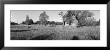 Old House In The Uncultivated Field, North Woods, Wisconsin, Usa by Panoramic Images Limited Edition Print