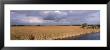 Big Cypress National Preserve Along Tamiami Trail Everglades National Park, Florida, Usa by Panoramic Images Limited Edition Print