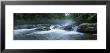 Little Pigeon River, Great Smoky Mountains National Park, Tennessee, North Carolina, Usa by Panoramic Images Limited Edition Print