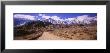 Dirt Road Passing Through An Arid Landscape, Lone Pine, Californian Sierra Nevada, California, Usa by Panoramic Images Limited Edition Pricing Art Print