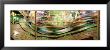 Carousel In Motion, Amusement Park, Stuttgart, Germany by Panoramic Images Limited Edition Print