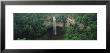 Waterfall In A Forest, Fall Creek Falls, Tennessee, Usa by Panoramic Images Limited Edition Pricing Art Print