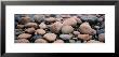 Rocks, Acadia National Park, Maine, Usa by Panoramic Images Limited Edition Print