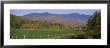 Woman Cycling On A Road, Stowe, Vermont, Usa by Panoramic Images Limited Edition Print