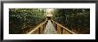Path Leading To A Temple, Kyoto, Honshu, Japan by Panoramic Images Limited Edition Print