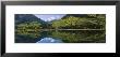 Reflection Of Mountains And Aspen Trees In Water Near Marble, Colorado, Usa by Panoramic Images Limited Edition Pricing Art Print
