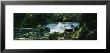 Waterfall In The Forest, Birks O' Aberfeldy, Perthshire, Scotland by Panoramic Images Limited Edition Pricing Art Print